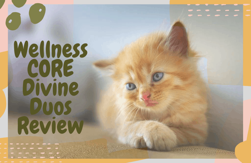 Wellness CORE Divine Duos Review