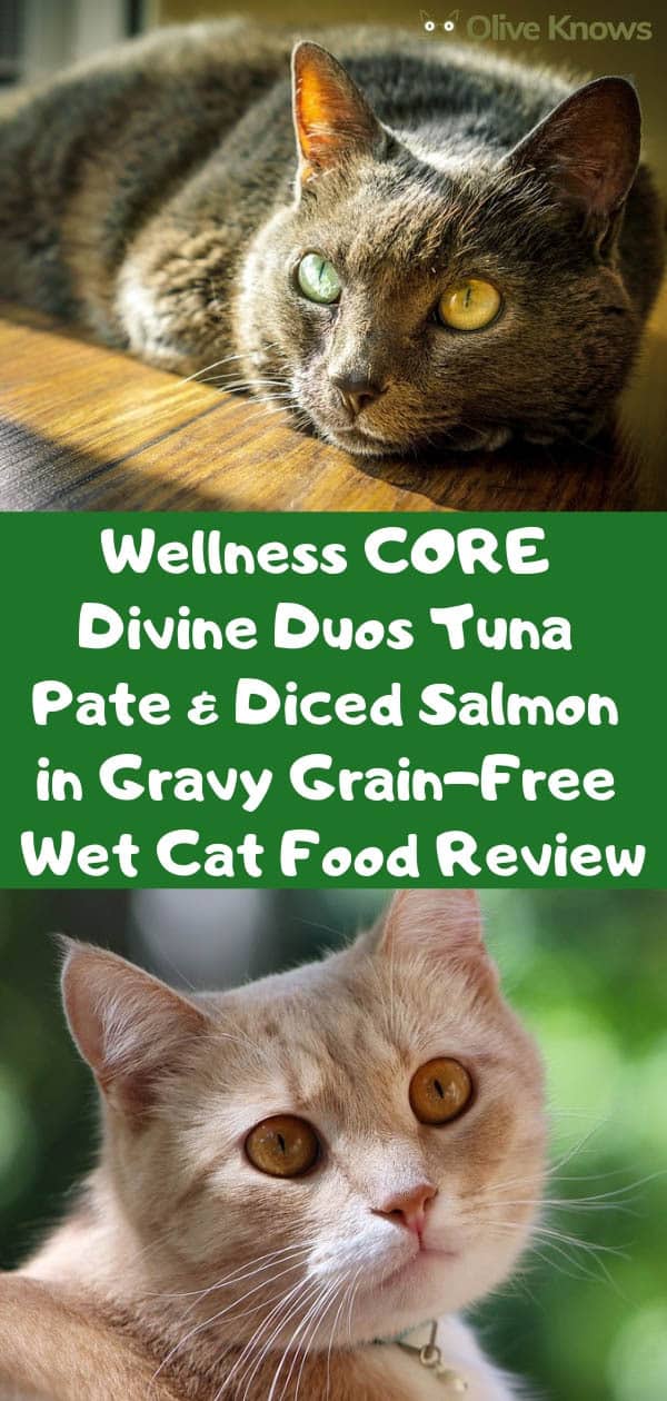 Wellness CORE Divine Duos Tuna Pate & Diced Salmon in Gravy Grain-Free Wet Cat Food Review