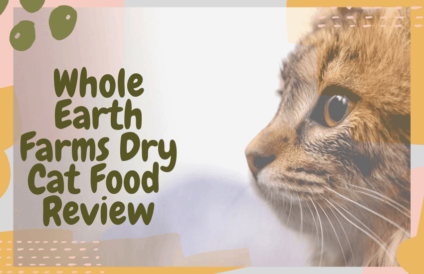 Whole Earth Farms Dry Cat Food Review