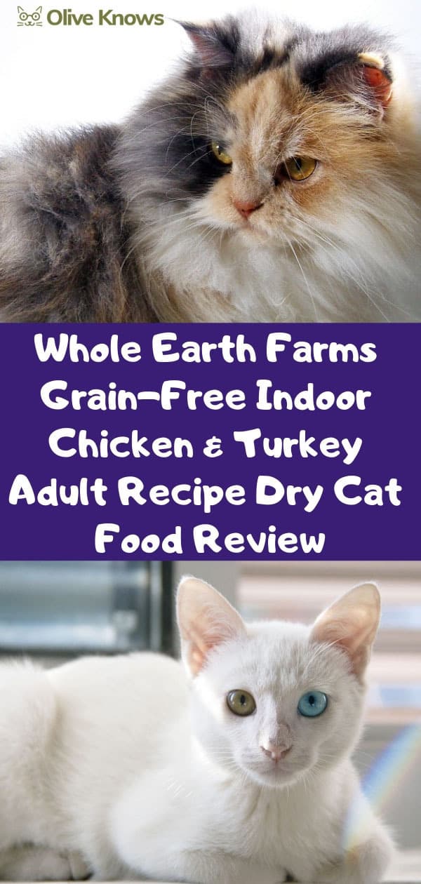 Whole Earth Farms Grain-Free Indoor Chicken