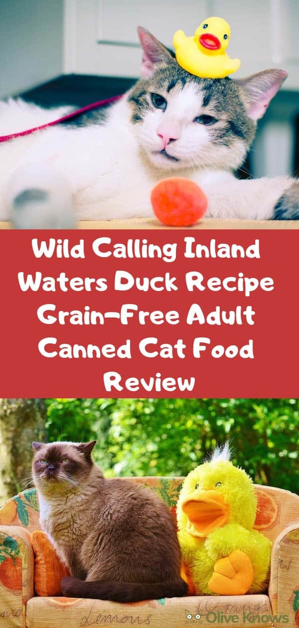 Wild Calling Inland Waters Duck Recipe Grain-Free Adult Canned Cat Food Review