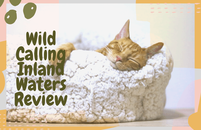 Wild Calling Inland Waters Review