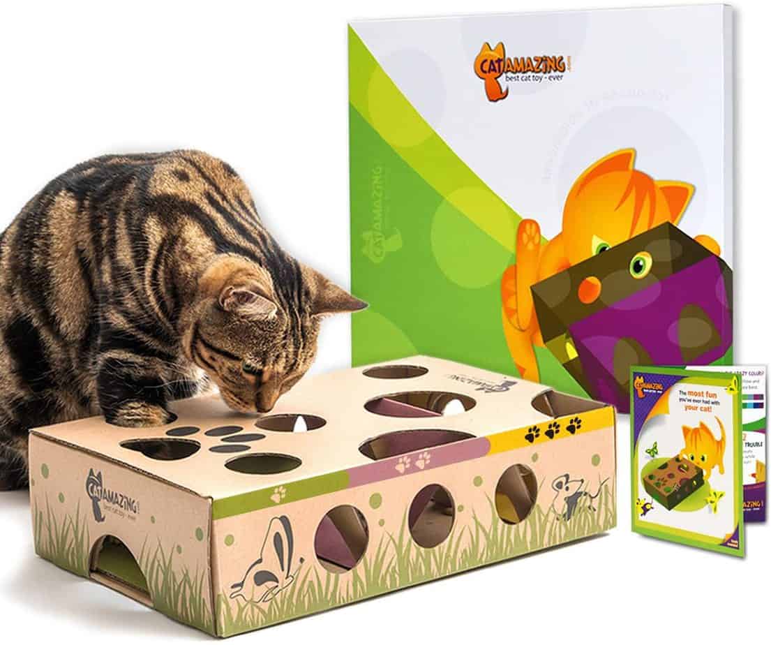 Interactive Cat Treat Maze