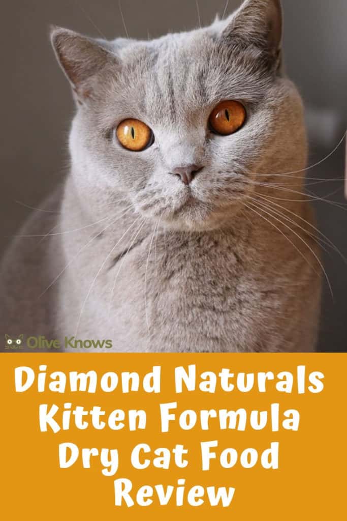 Diamond Naturals Kitten Formula Dry Cat Food Review OliveKnows