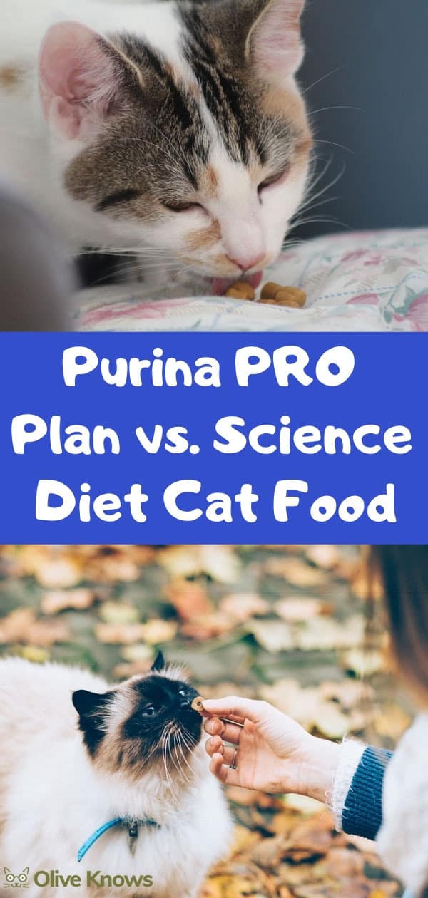 purina one vs science diet cat food