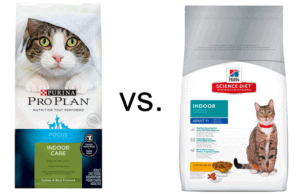 purina oliveknows