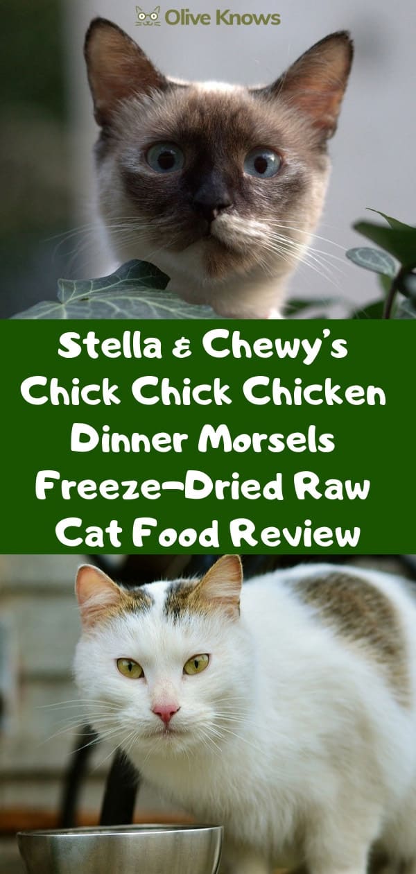 Stella & Chewy’s Chick Chick Chicken Dinner Morsels Freeze-Dried Raw Cat Food Review