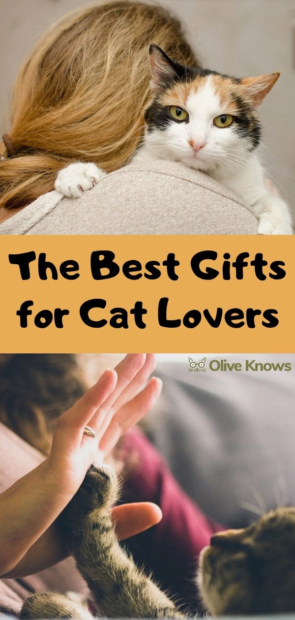 The Best Gifts for Cat Lovers