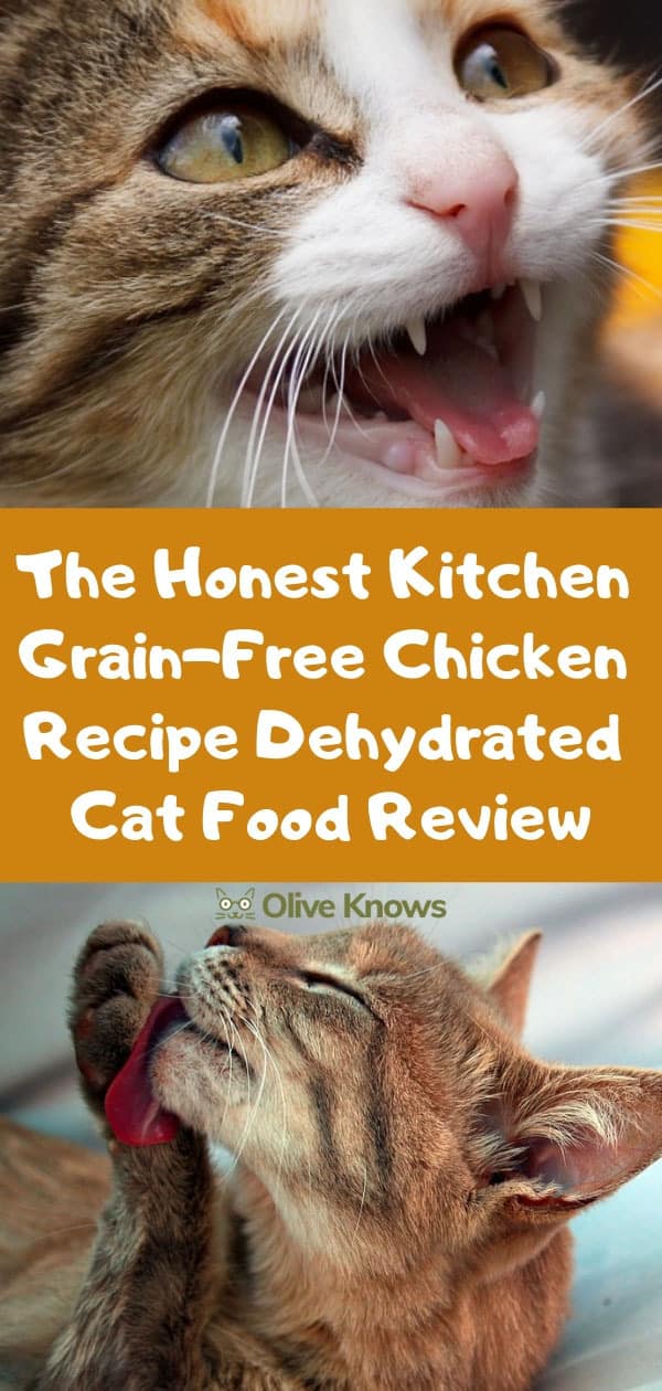 The Honest Kitchen Grain-Free Chicken Recipe Dehydrated Cat Food Review