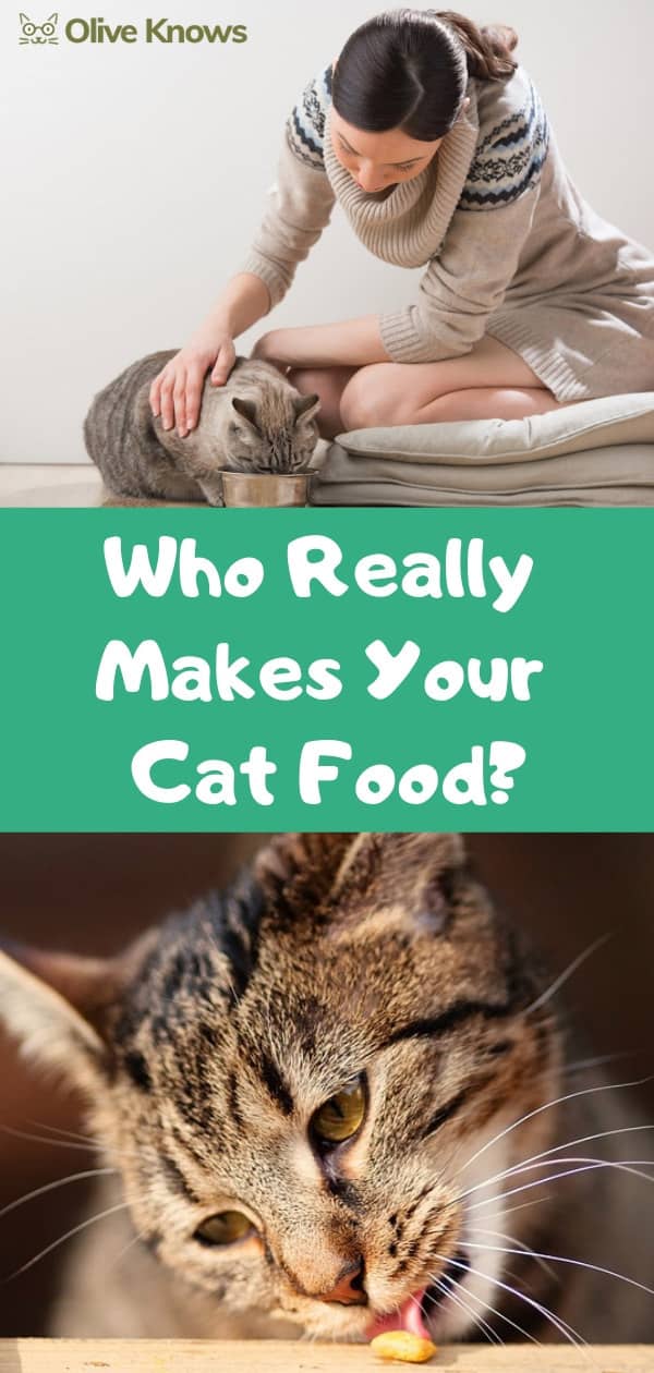 Who Really Makes Your Cat Food?