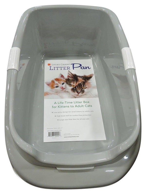 easy access litter box for older cats