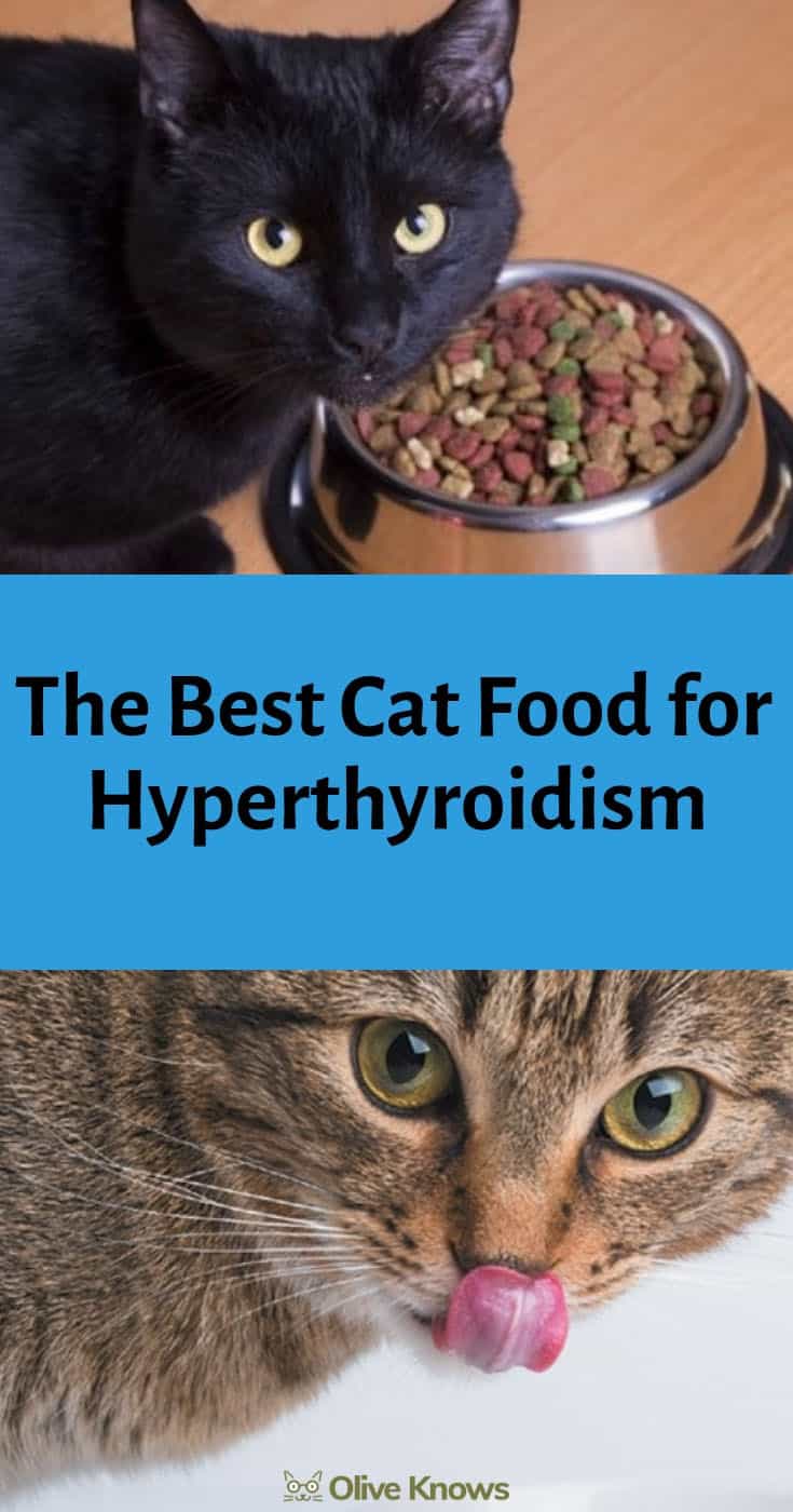 yd thyroid cat food