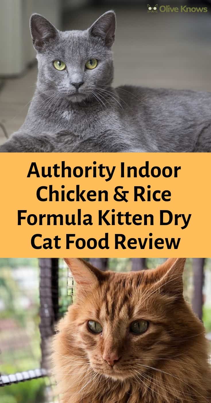 Authority Indoor Chicken & Rice Formula Kitten Dry Cat Food Review