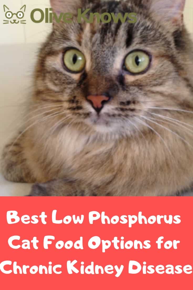 Low Phosphorus Dry Cat Food Chart