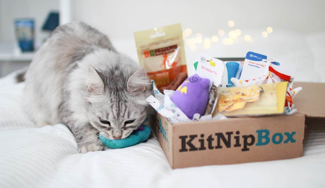 Cat-Kitnipbox-Gift-Subcription