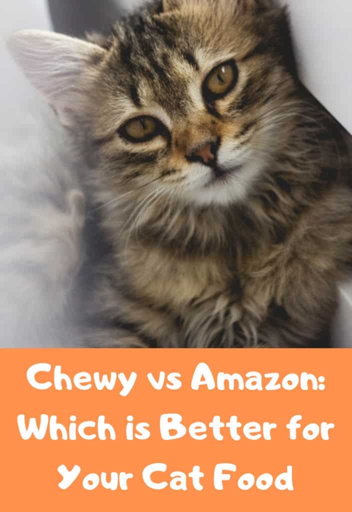 Chewy vs Amazon [2021] Which is the Better Retailer? OliveKnows