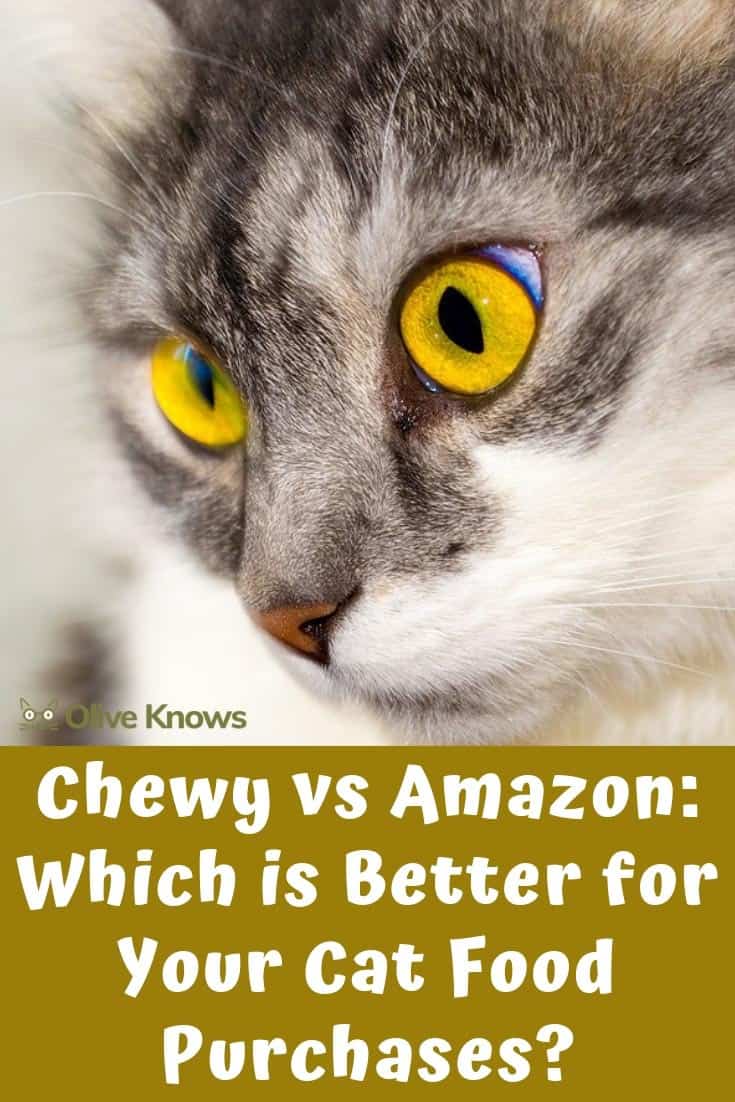 chewy cat food phone number