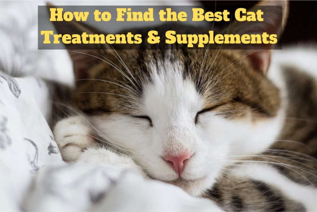 Cat Treatments Supplements