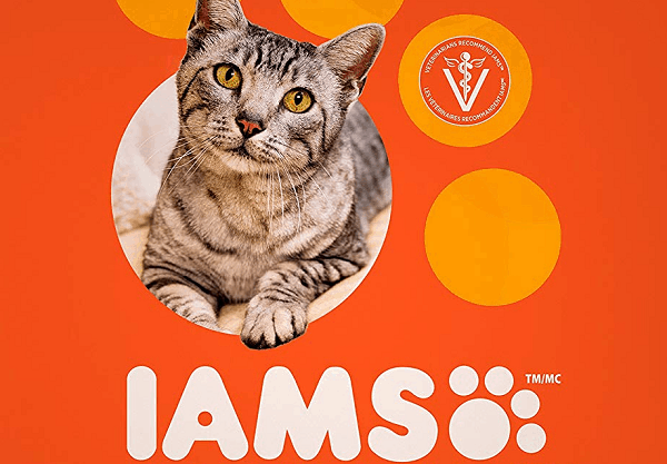 Iams Cat Food