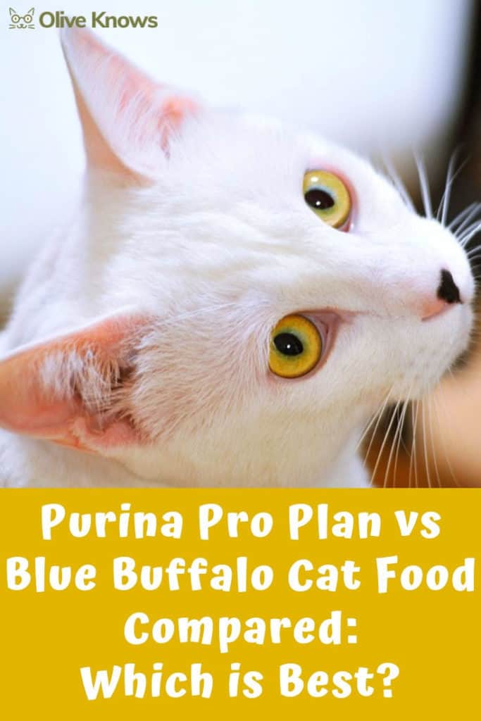 Purina Pro Plan vs Blue Buffalo Cat Food Compared Which is Best