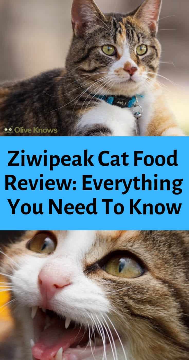 ziwi cat food reviews