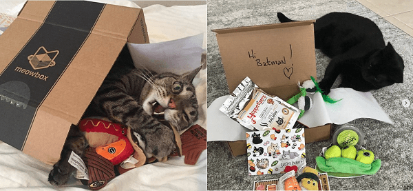 meowbox-cat-subscription