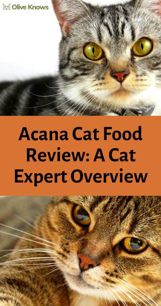 Acana Cat Food Review A Cat Expert Overview OliveKnows