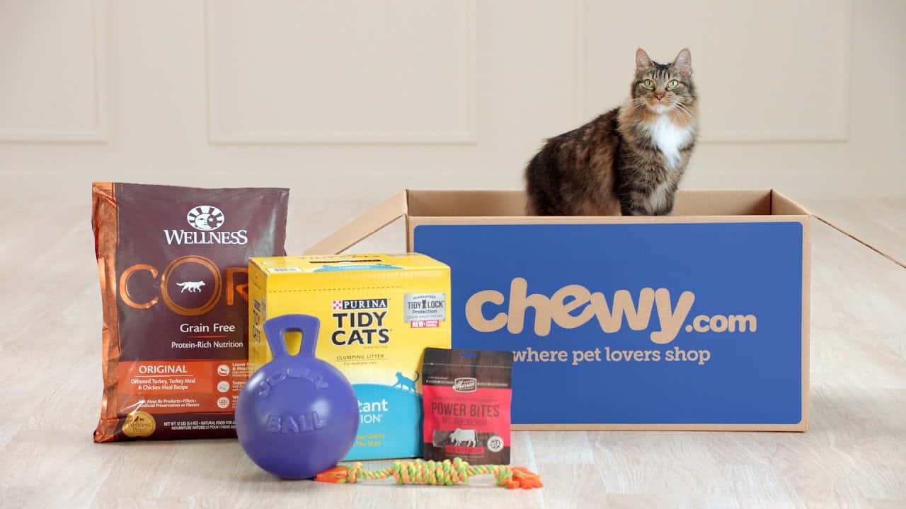 Petflow vs Chewy [2022]: Which is Best for Pet Food? - OliveKnows