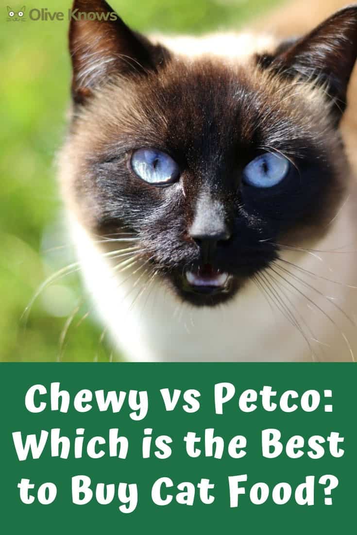 Chewy vs Petco 