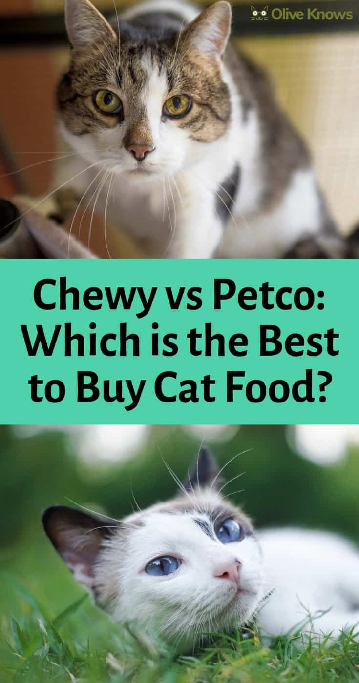 Chewy vs Petco [2019] Which is Best to Buy Cat Food? OliveKnows