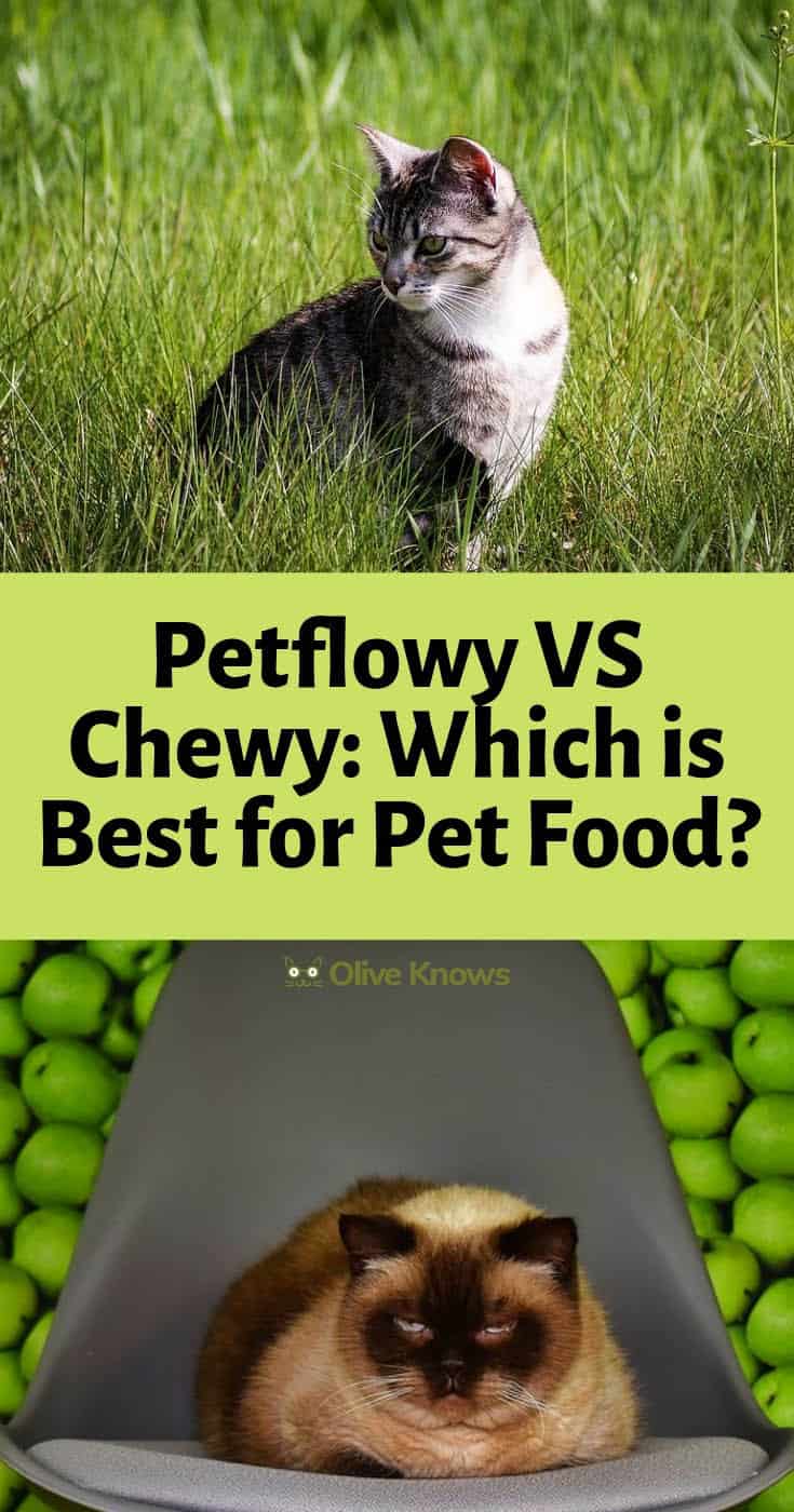 about pet flow