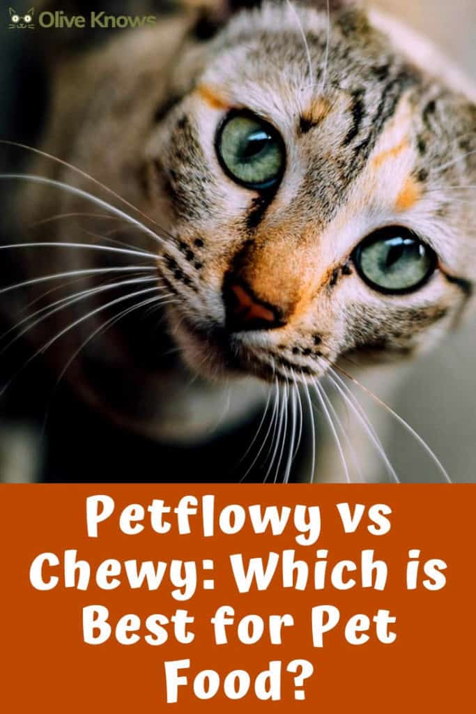 Petflow vs Chewy [2022] Which is Best for Pet Food? OliveKnows