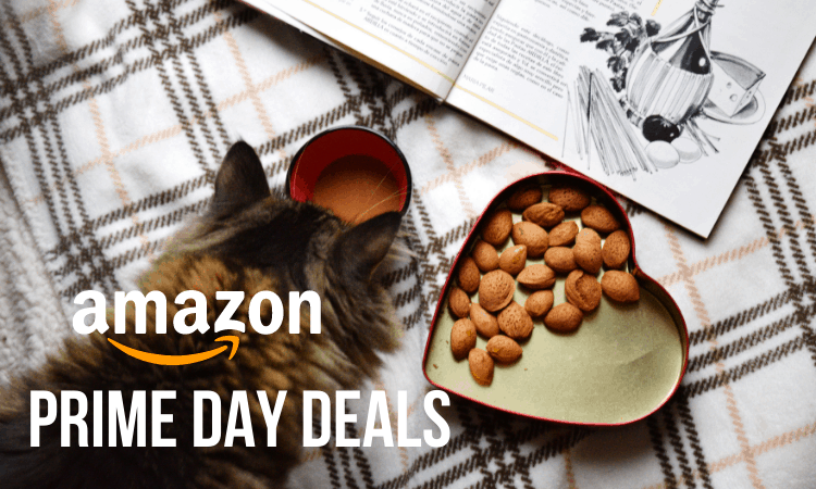 prime day deals