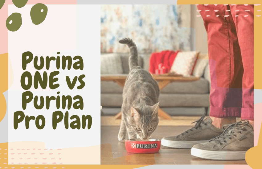 Purina ONE vs Purina Pro Plan