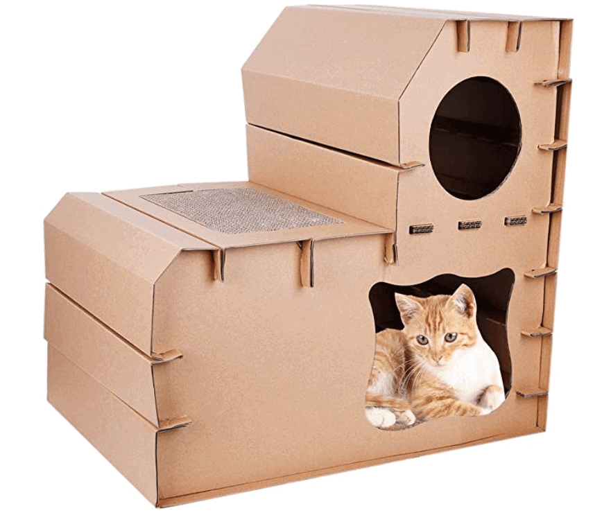 Best Cat Accessories of 2022 OliveKnows