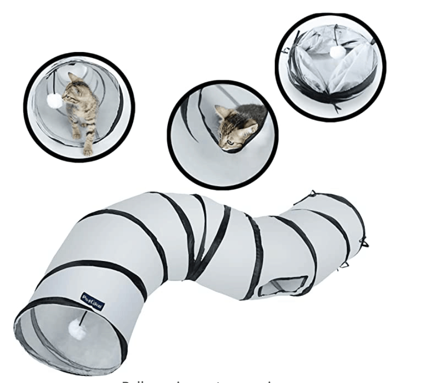 Best Cat Accessories of 2022 OliveKnows