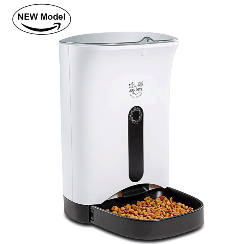 Best Cat Accessories of 2022 OliveKnows