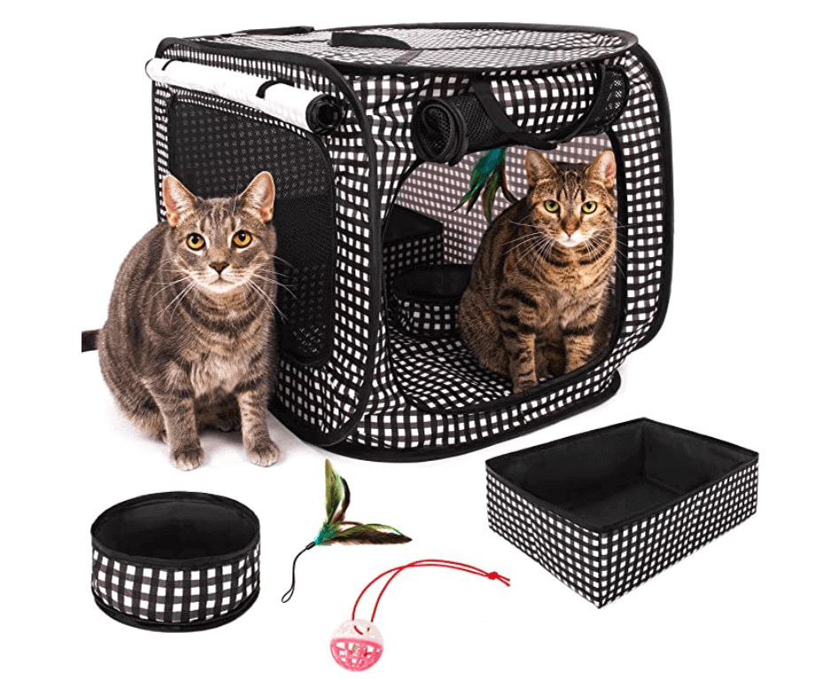 Best Cat Accessories of 2022 OliveKnows