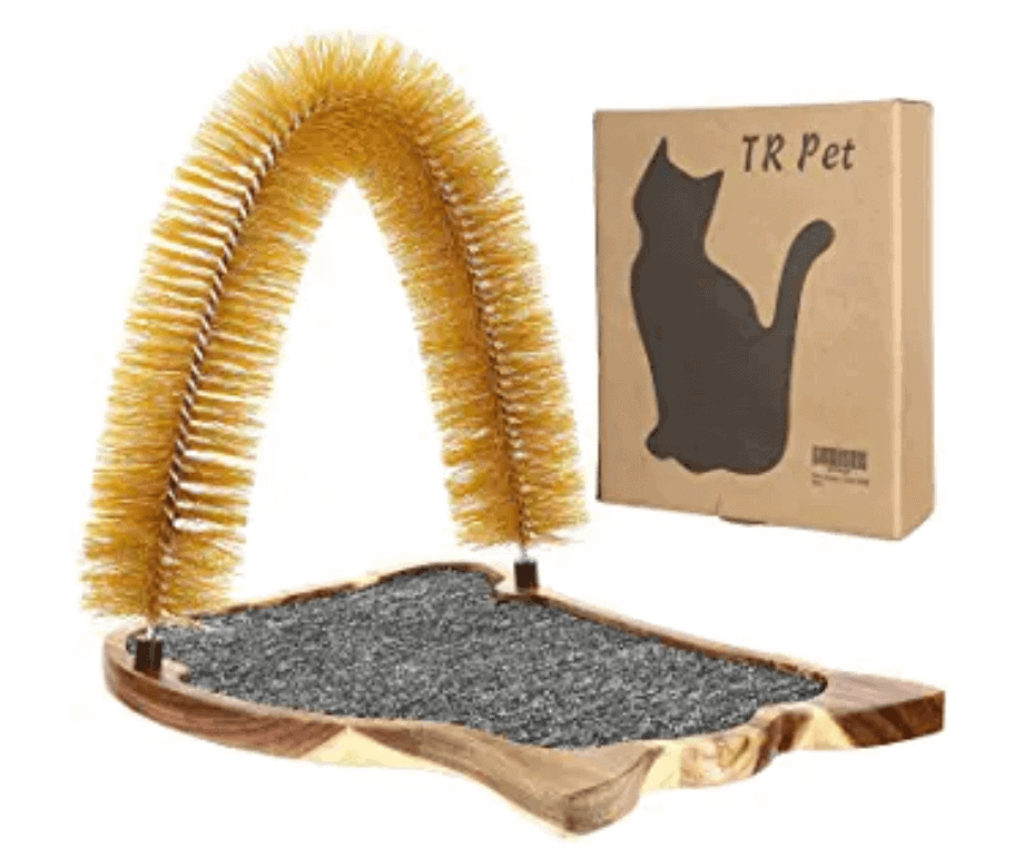 Best Cat Accessories of 2022 OliveKnows