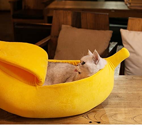 Banana Cat Cave