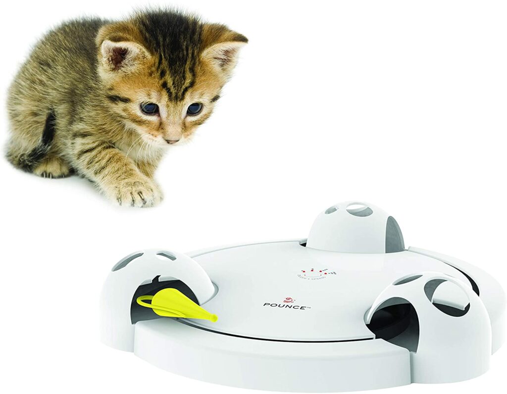 PetSafe Pounce