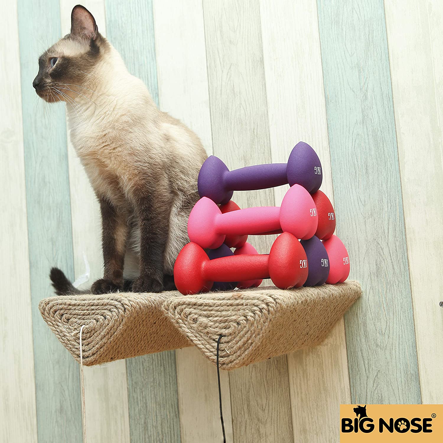 Big Nose Cat Scratching Post/Shelf