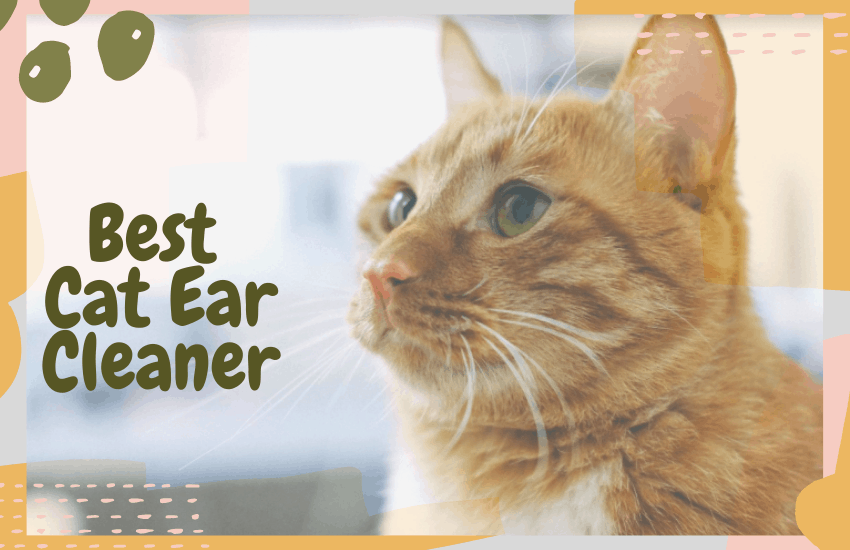 Best Cat Ear Cleaner