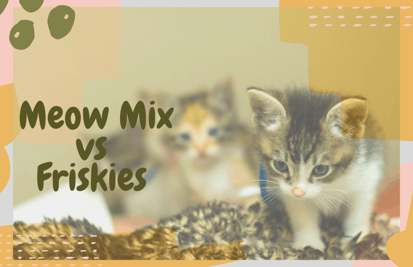 Meow Mix vs Friskies