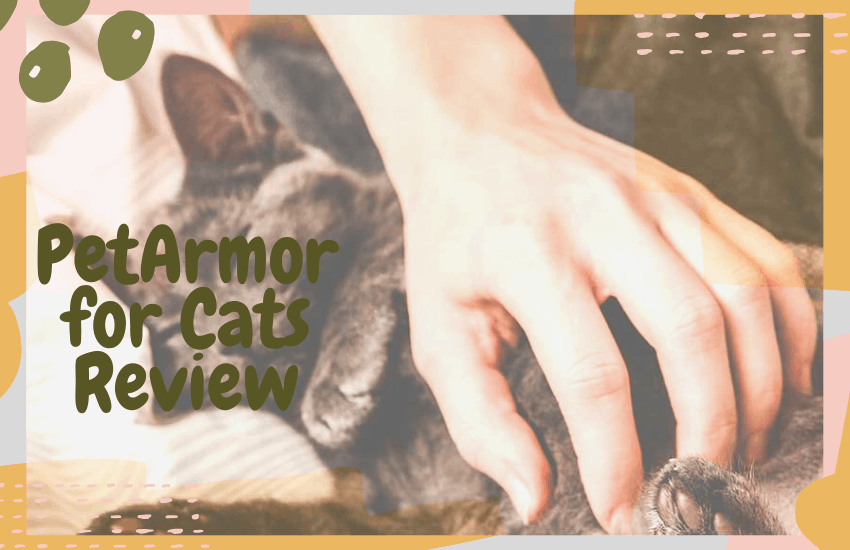 PetArmor for Cats Review