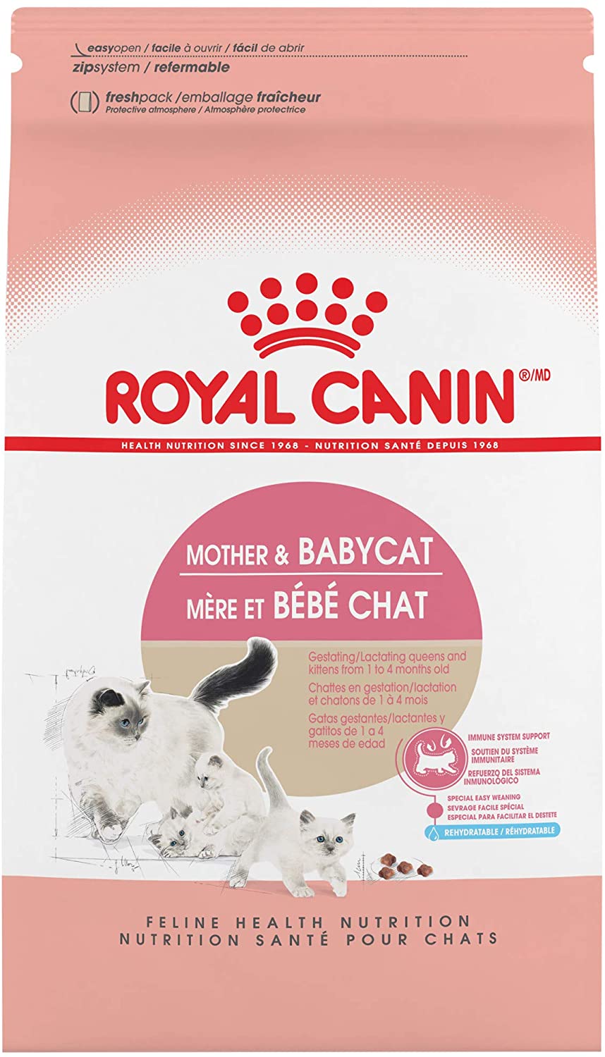 Royal Canin Dry Cat Food for Pregnant and Nursing Cats