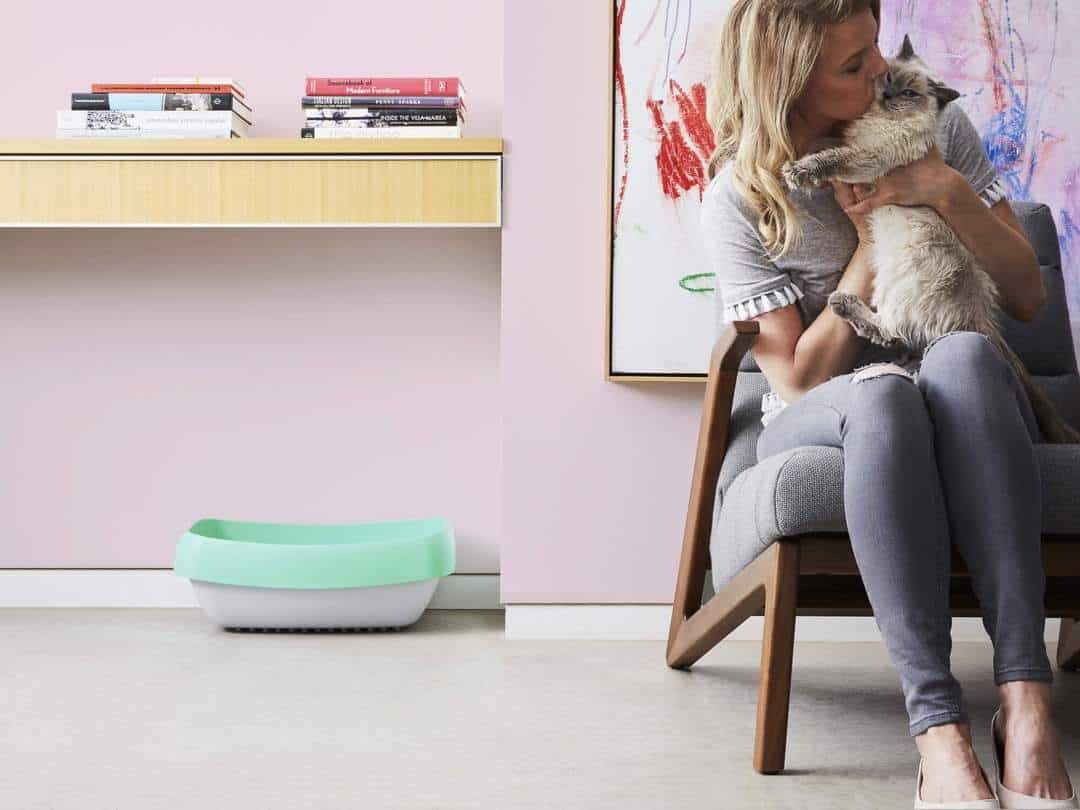 Luup Litter Boxes in a room