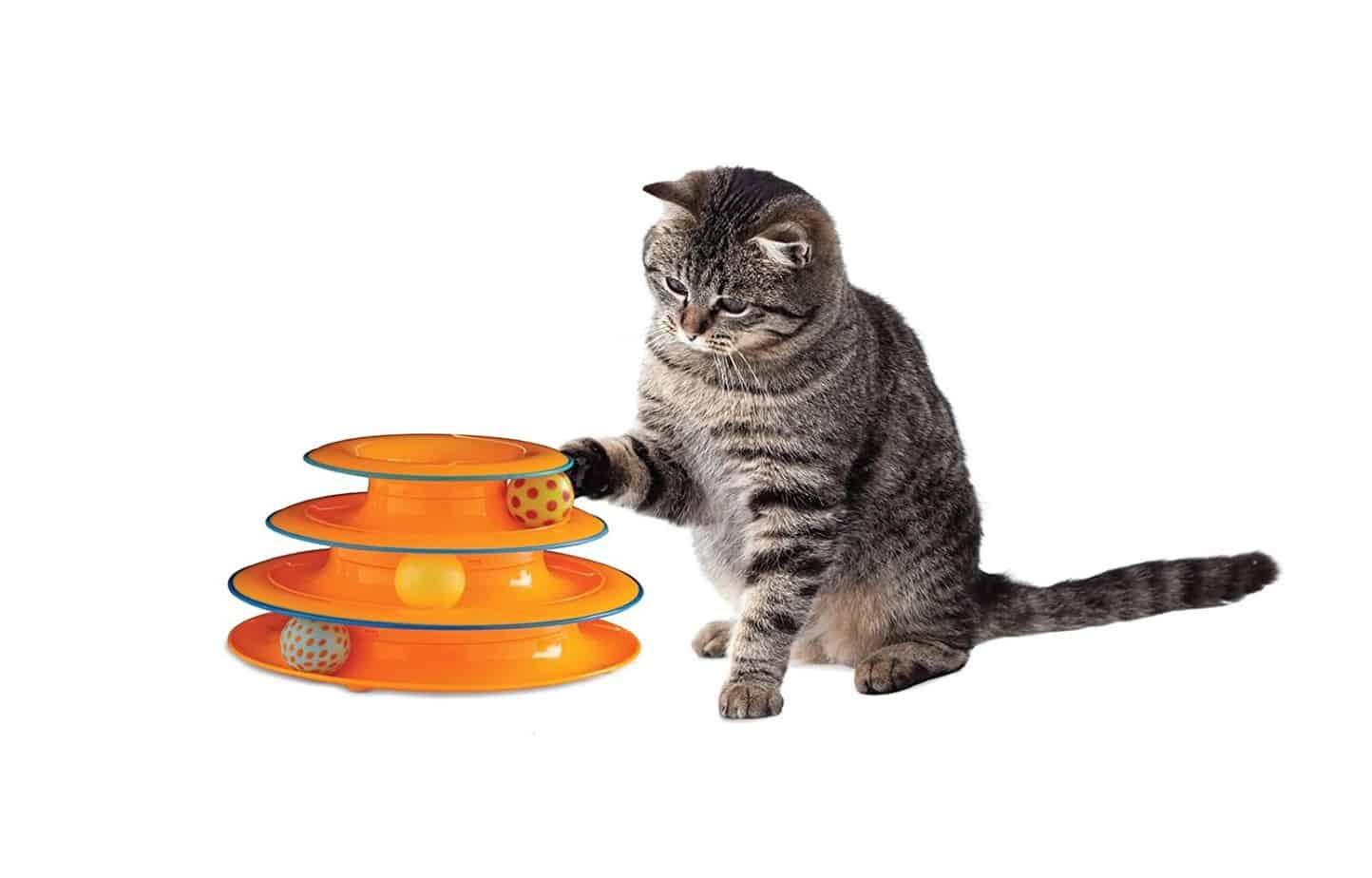 The Best Kitten Toys for Your Furball