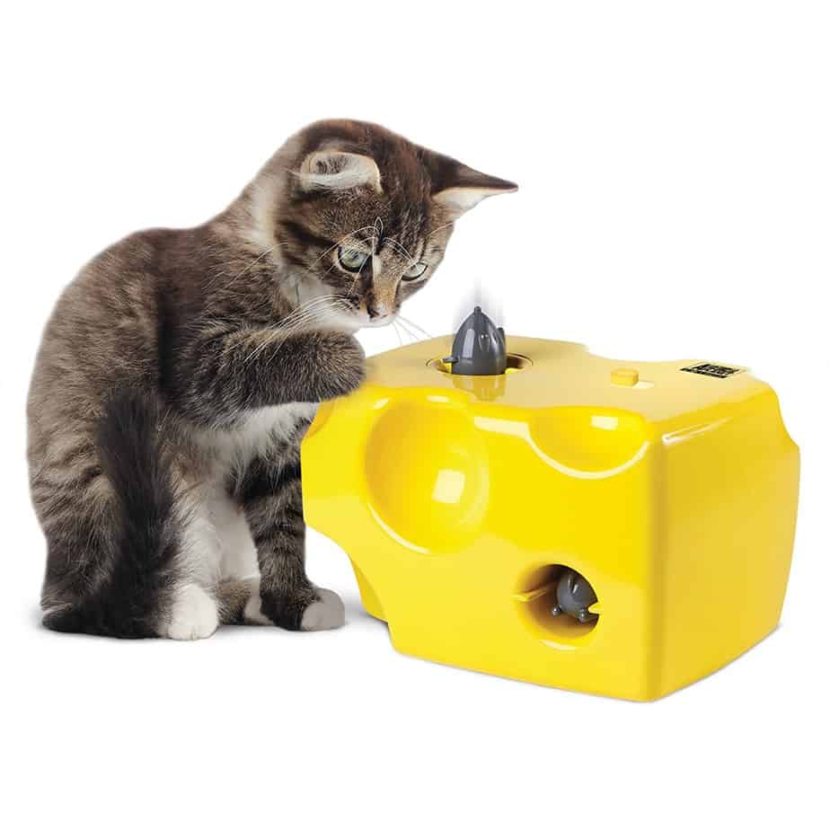 Animal Planet Automatic Peek-a-Boo Mouse & Cheese Interactive Toy for Cats