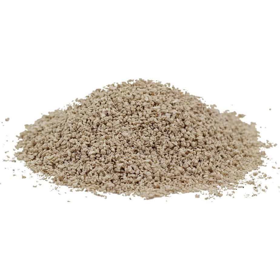 Is Your Cat Allergic to Its Litter? OliveKnows